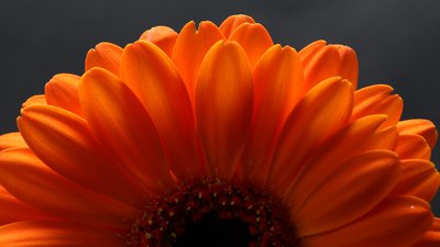IMG_56830.jpg