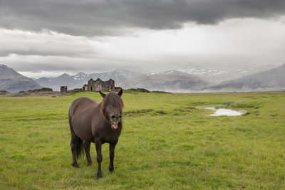 Islande-2963-3.JPG