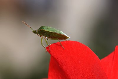 IMG_09996.jpg