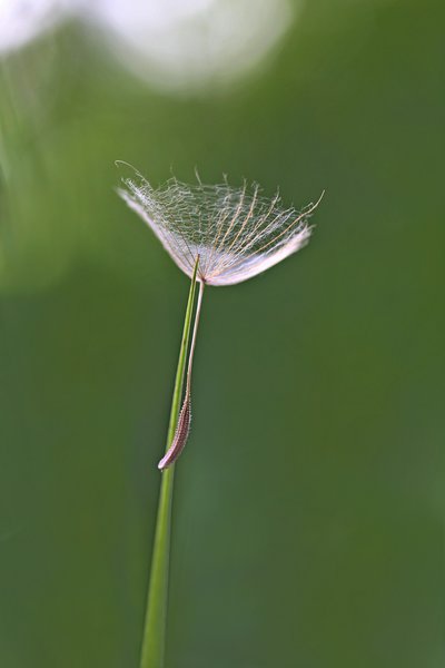 IMG_9794111.jpg