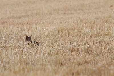 IMG_83481.jpg