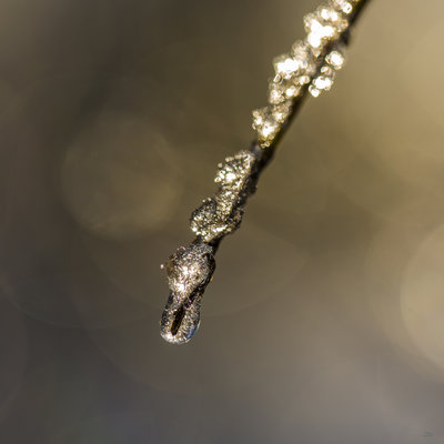 Hiver-8948.JPG