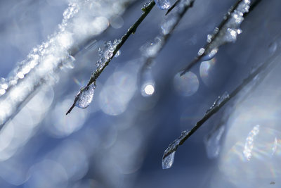 Hiver-8943.JPG