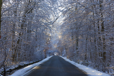Hiver-8824.JPG
